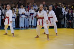 В Великих Луках прошли соревнования по каратэ (ФОТО)