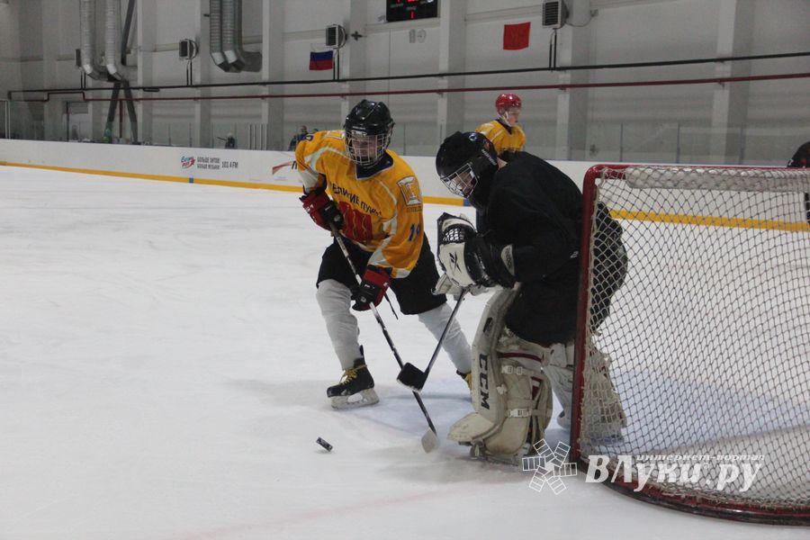 Две великолукские хоккейные команды провели встречу в рамках Чемпионата Псковской (ФОТО)