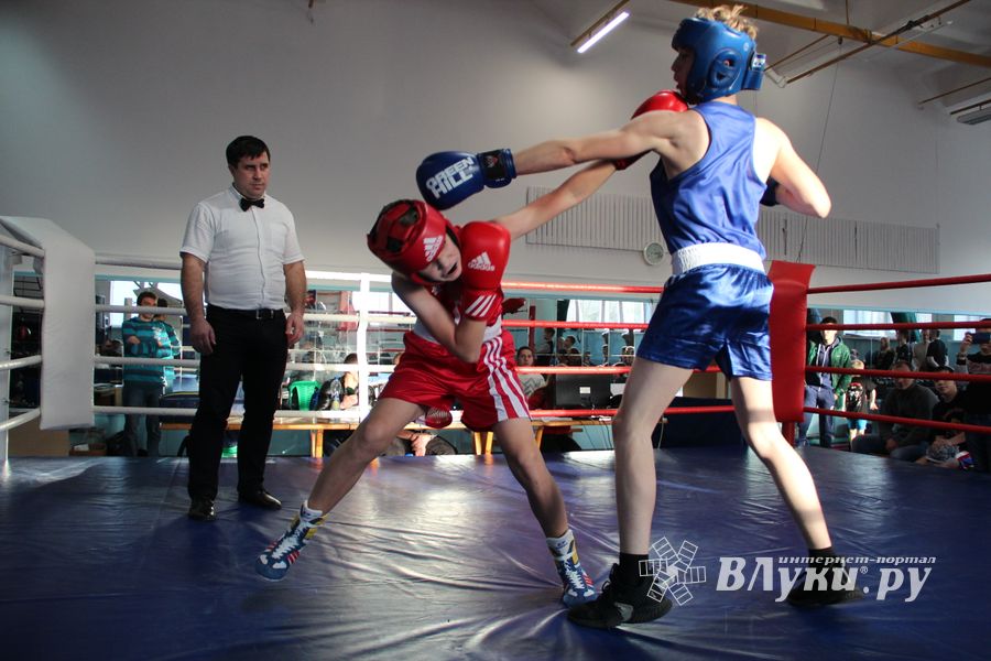 В Великих Луках завершились соревнования по боксу (ФОТО)