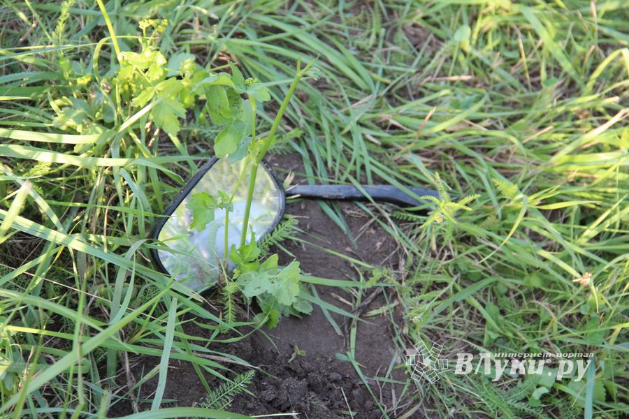 Массовое ДТП в Великих Луках (ФОТО)