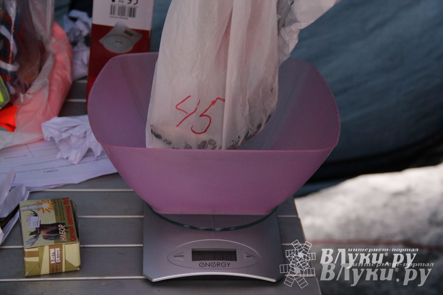 Подведены итоги Открытого чемпионата Великих Лук по рыболовному спорту (фото)