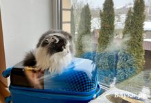 Отправляясь в поход, необходимо зарегистрировать свою туристическую группу (ВИДЕО)