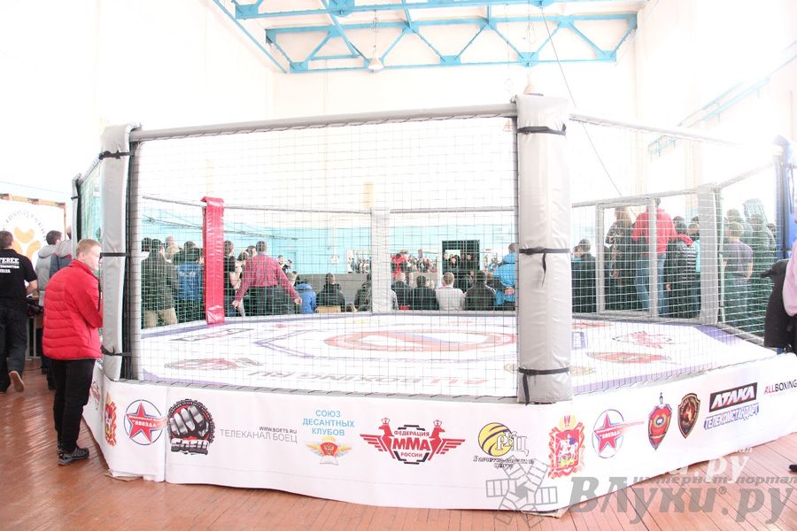 Первый чемпионат и первенство Псковской области по смешанным боевым искусствам «ММА»