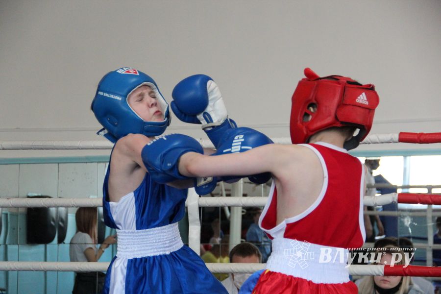 В Великих Луках завершился открытый турнир по боксу (ФОТО)
