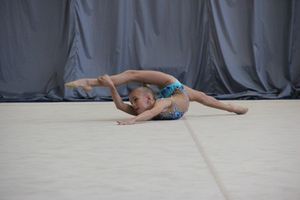​В Великих Луках проходит Открытое Первенство по художественной гимнастике (ФОТО) (0+)