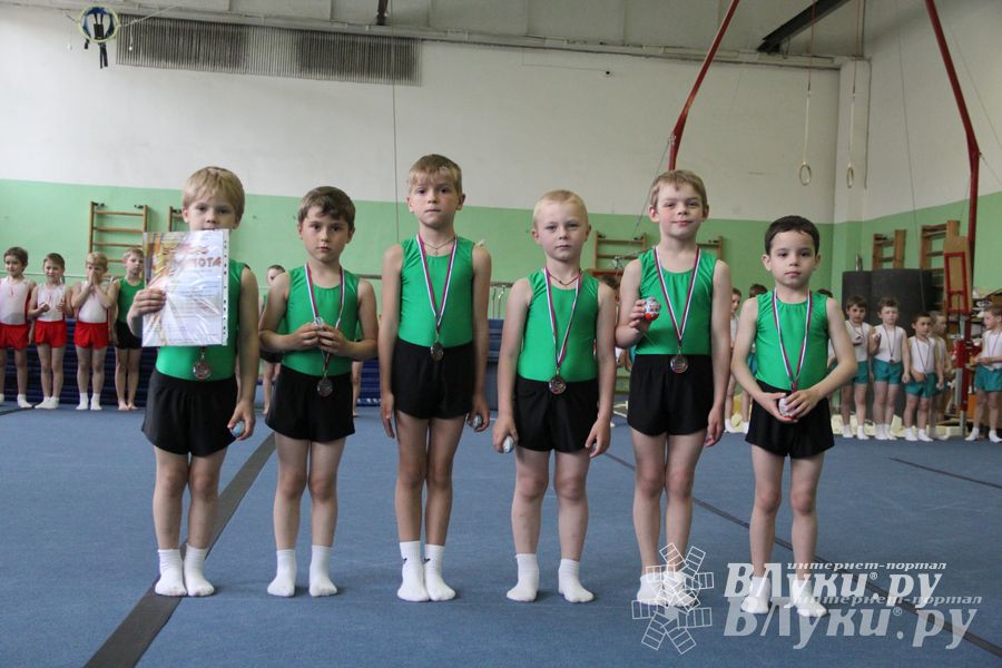 В Великих Луках состоялось Первенство по командной гимнастике (фото)
