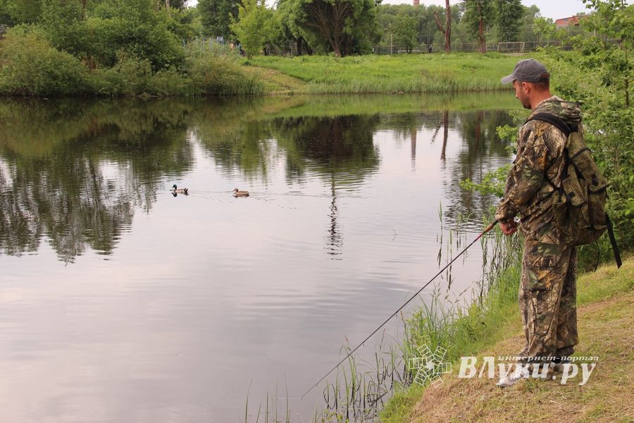 Чемпионат Великих Лук по ловле спиннингом: клевала, но мало (ФОТО)