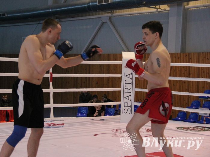 В Великих Луках завершился открытый кубок по смешанному боевому единоборству ММА (ФОТО)