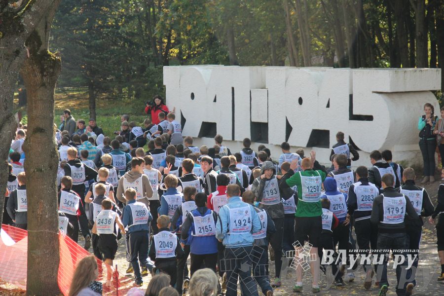 Кросс нации