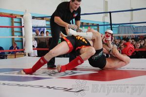 Чемпионат Псковской области по ММА