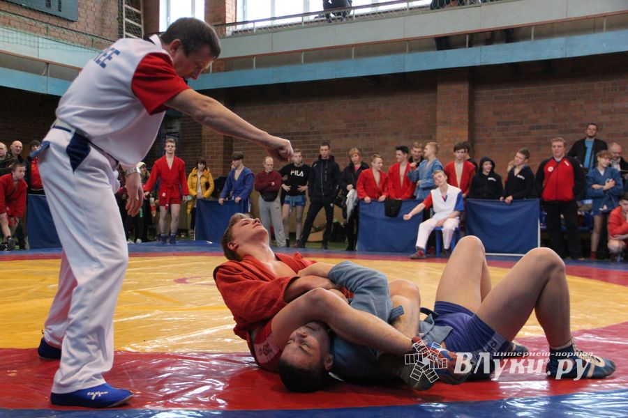 Великолукские самбисты завоевали 54 награды на Первенстве города (ФОТО)