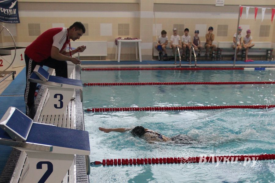 В Великих Луках прошло Первенство города по плаванию (ФОТО)
