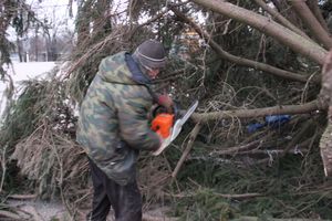Необычное украшение сняли с главной ёлки Великих Лук (ФОТО)