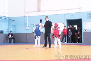 Первый чемпионат и первенство Псковской области по смешанным боевым искусствам «ММА»