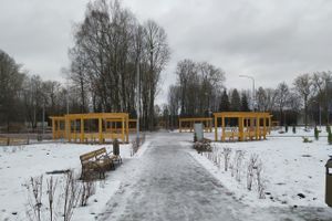 В парке «Петровский» появилась «Яблоня любви» (ФОТО)