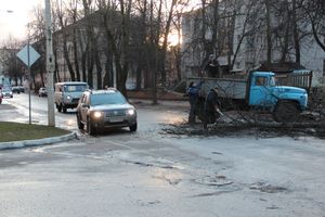 В Великих Луках дерево упало на проезжую часть 