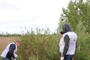 «Партия Дела» делает дело