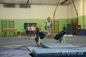 В Великих Луках состоялось Первенство по командной гимнастике (фото)