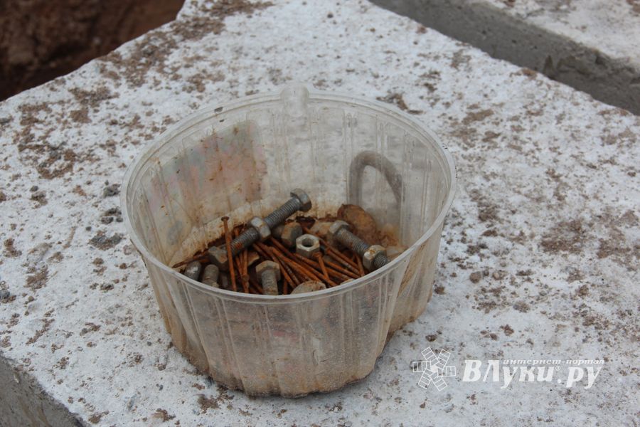 В скором времени нерадивых великолучан станет проще изолировать (ФОТО)