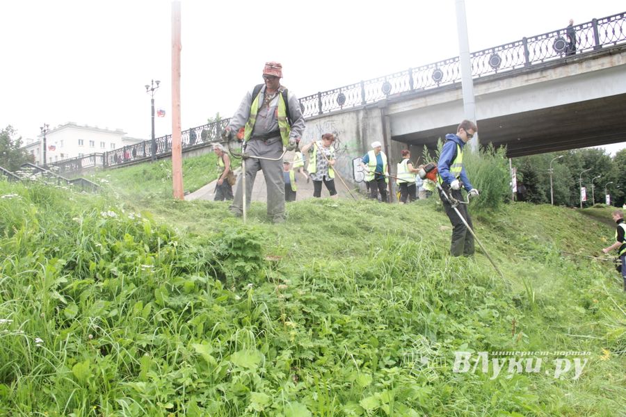 Куда утекла Ловать (ФОТО)