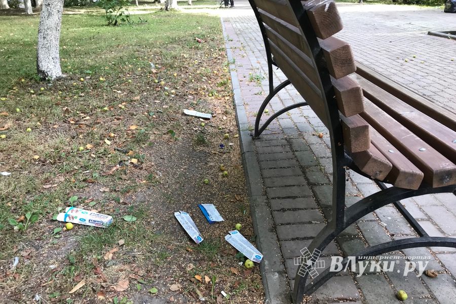 Парк Пушкина: «... А вкруг меня глухое запустенье...» (ФОТО)