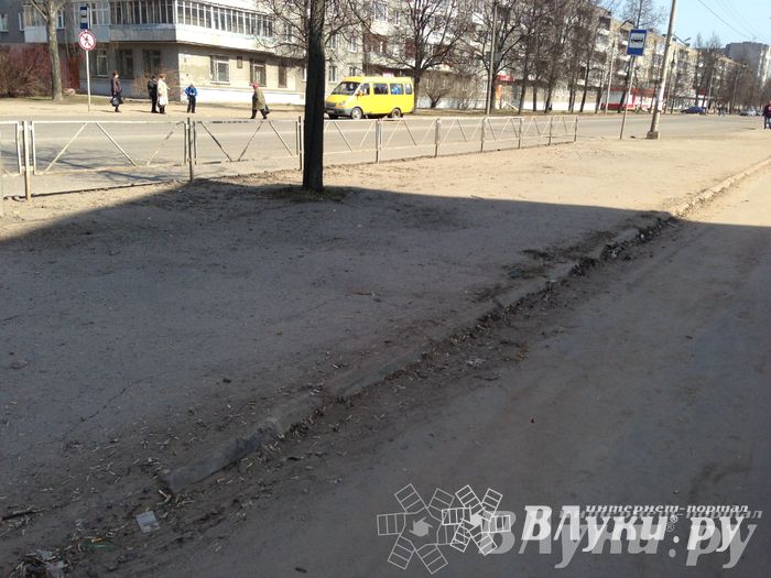 Весне дорогу!