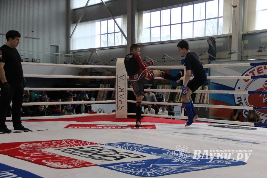 Открытый кубок по смешанному боевому единоборству ММА прошел в Великих Луках (ФОТО)