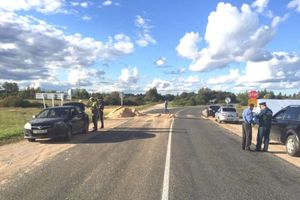 В зоне вспышки АЧС проводятся карантинные мероприятия (ФОТО)