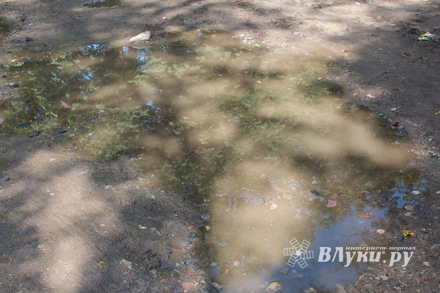 Великие Луки после дождичка в четверг (ФОТО)