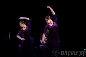 В великих Луках выступил московский коллектив фламенко