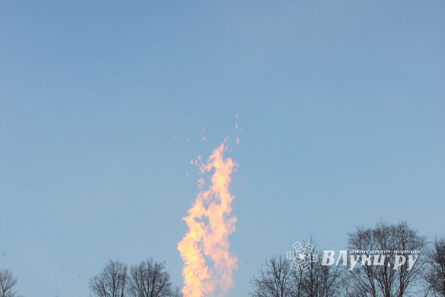Великолукские пилоты присоединились к Рождественской фиесте «Яблоки на снегу» (ФОТО)