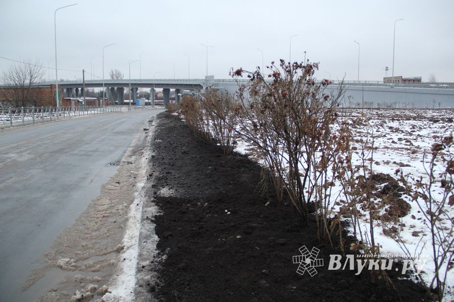 Назначена дата открытия путепровода в Великих Луках (ФОТО)