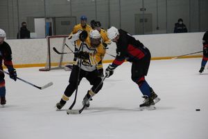 Великолукский «Экспресс» одержал победу в игре с псковскими «Медведями» (ФОТО)