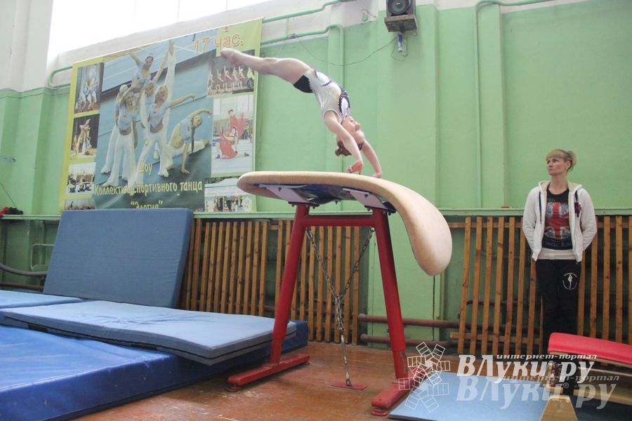 В Великих Луках прошел турнир по спортивной гимнастике (фото)