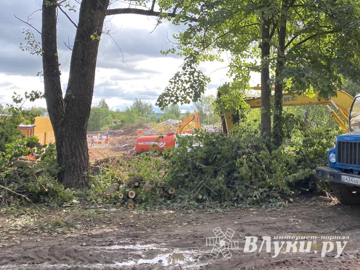 Начались работы по благоустройству территории  вокруг отделения областной инфекционной больницы (ФОТО)