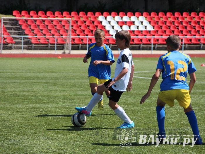 «Локобол-2013»: Великие Луки-Кировск