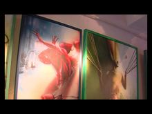 Импульс-ТВ: Ю.Вороненко