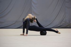 В Великих Луках прошли соревнования на Кубок Псковской области по художественной гимнастике (ФОТО)