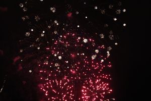 В Великих Луках зажглась новогодная ёлка (ФОТО)