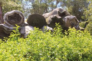 ​На Дятлинке появится новое поле (ФОТО)