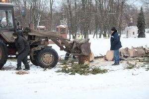 Главная городская ёлка отправилась на свалку (ФОТО)