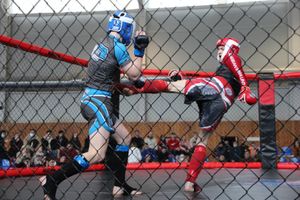 В Великих Луках прошел кубок по смешанному боевому единоборству (ФОТО)