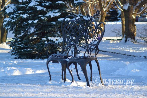 Автор фото Алина Евстигнеева