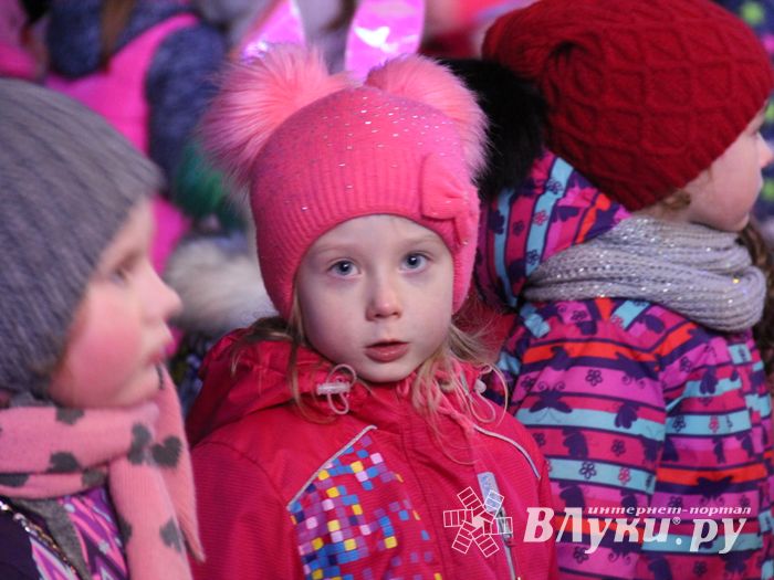 В Великих Луках зажгли Ёлку (ФОТО)