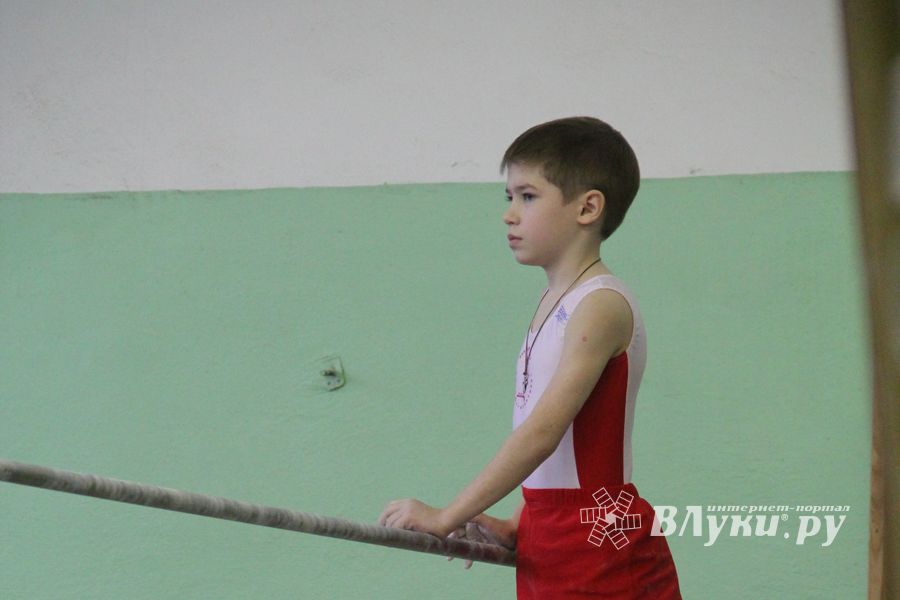 В Великих Луках состоялось Первенство города по спортивной гимнастике (фото)