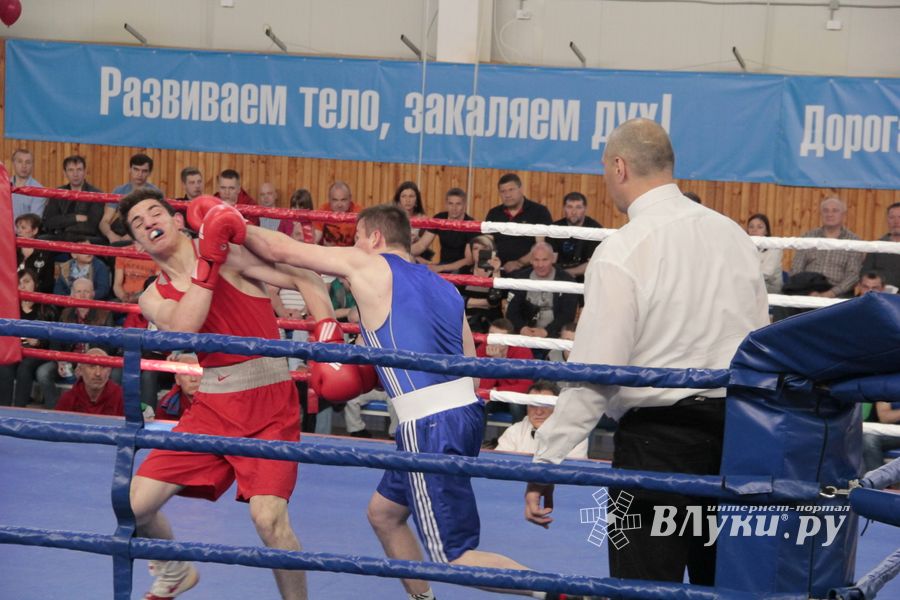 Матчевая встреча по боксу Великие Луки —Псков — Грозный (ФОТО)