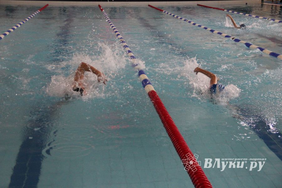 «День спринтера» (ФОТО)