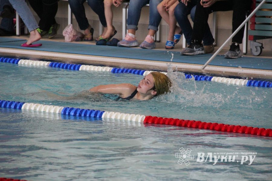 В «Айсберге» прошло Первенство города по плаванию (ФОТО)