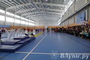 Открытие спортивно-оздоровительный комплекс «Стрелец» (фото)