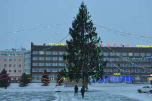 © ВЛуки.ру